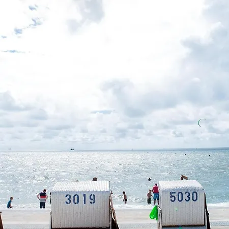 Daire Kuestenperle *